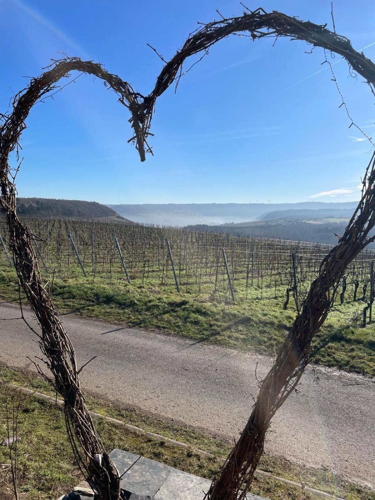 Neue Loft Im Alten Kelterhaus - Urlaub Im Wein- Und Ferienort Bekond Buitenkant foto