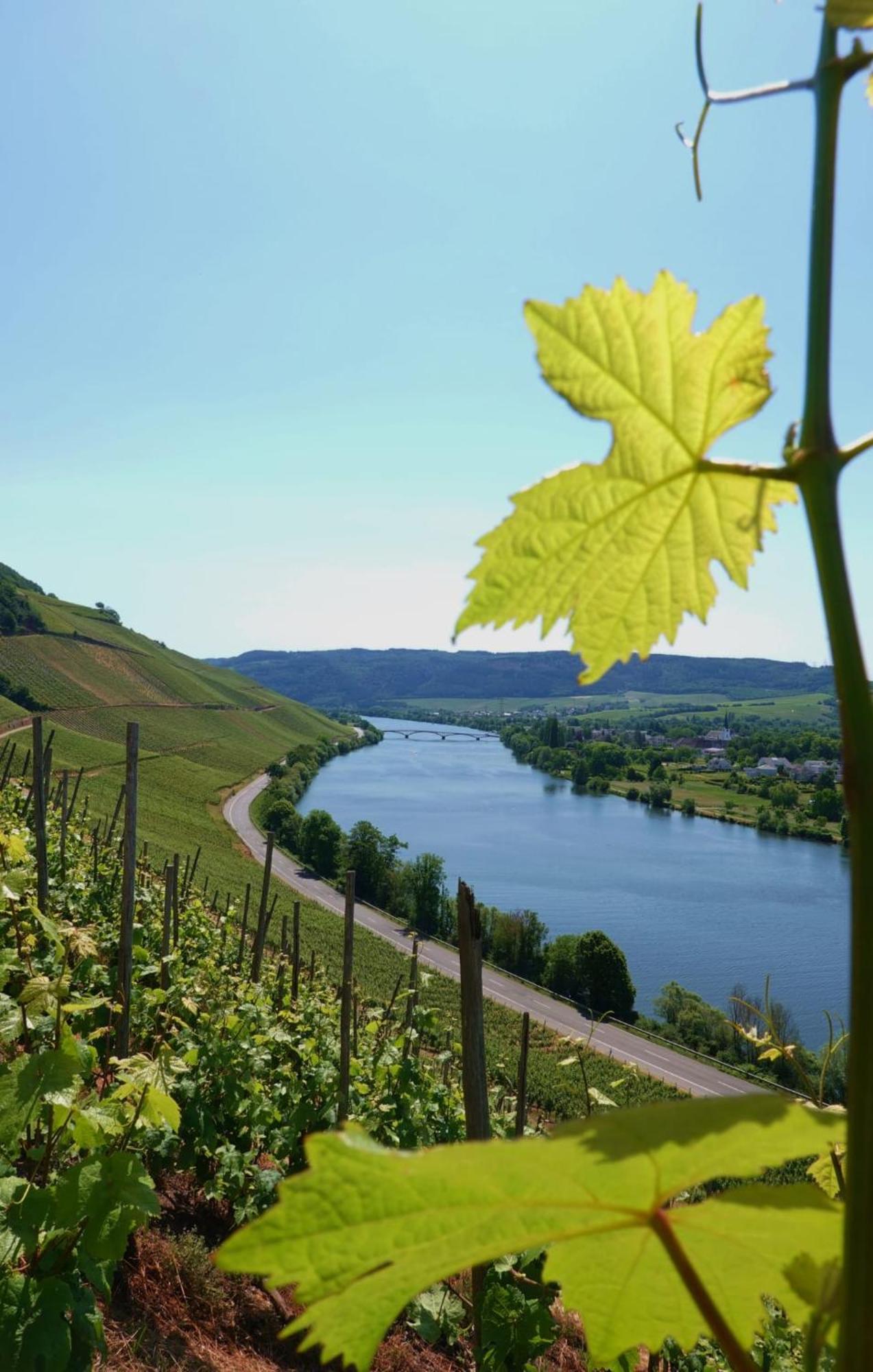 Neue Loft Im Alten Kelterhaus - Urlaub Im Wein- Und Ferienort Bekond Buitenkant foto